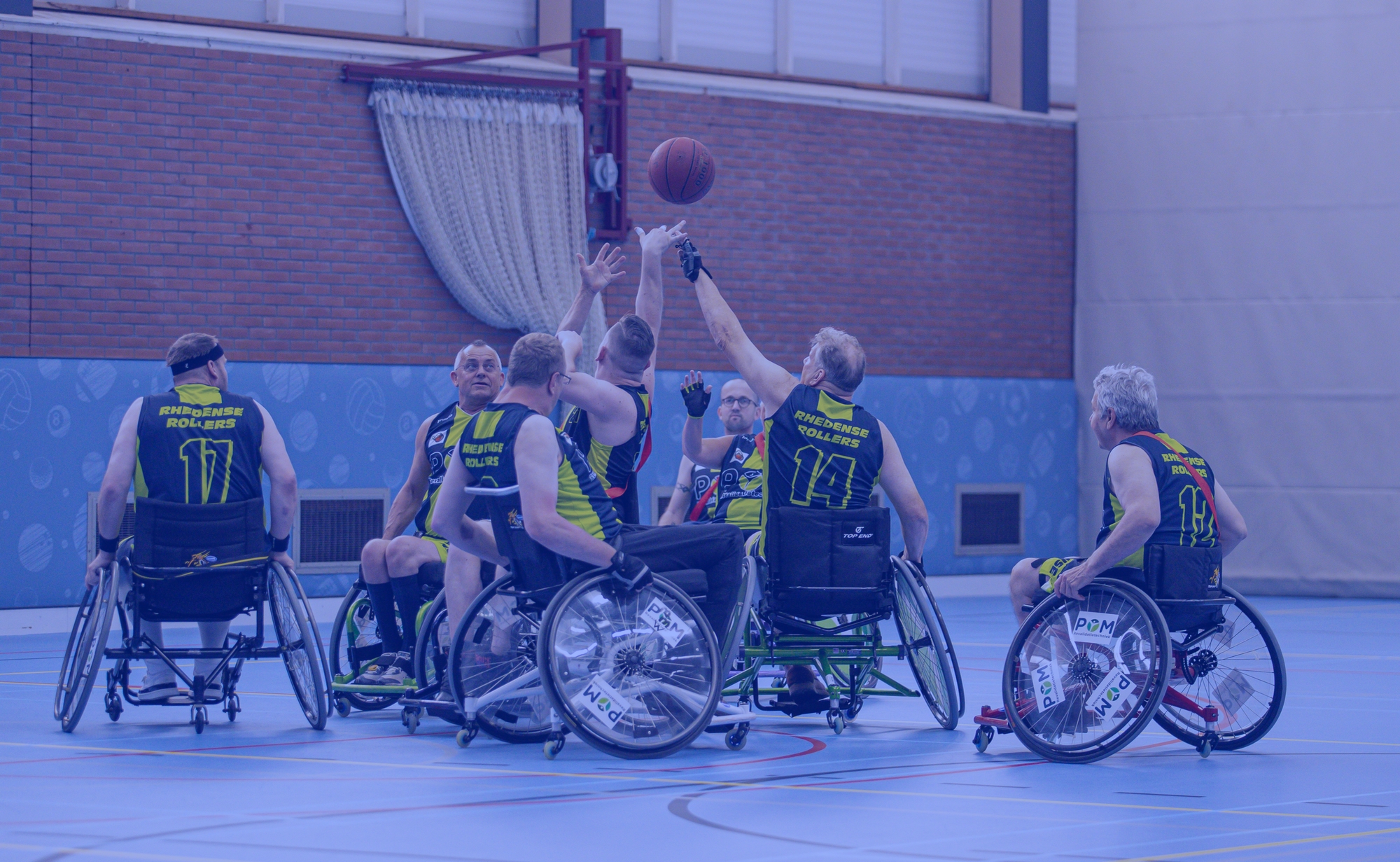 Training Rhedense Rollers (134)